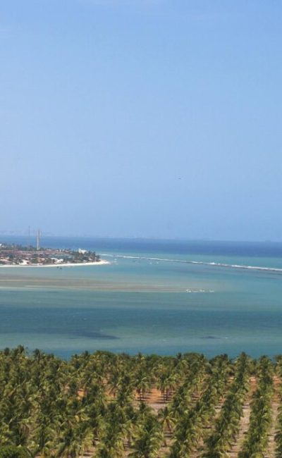 Praia do Gunga vista de cima