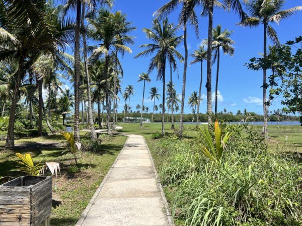 trilha dos coqueiros bica da pedra